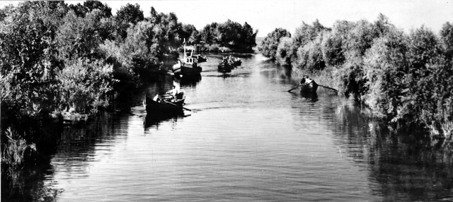 207 - Delta Dunarii. Pe canalul Sf. Gheorghe